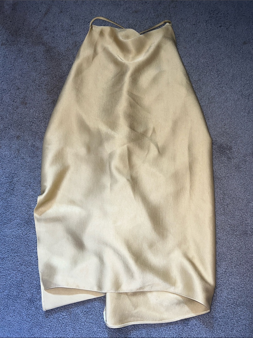 Zara Champagne Top